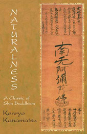 cover of Naturalness